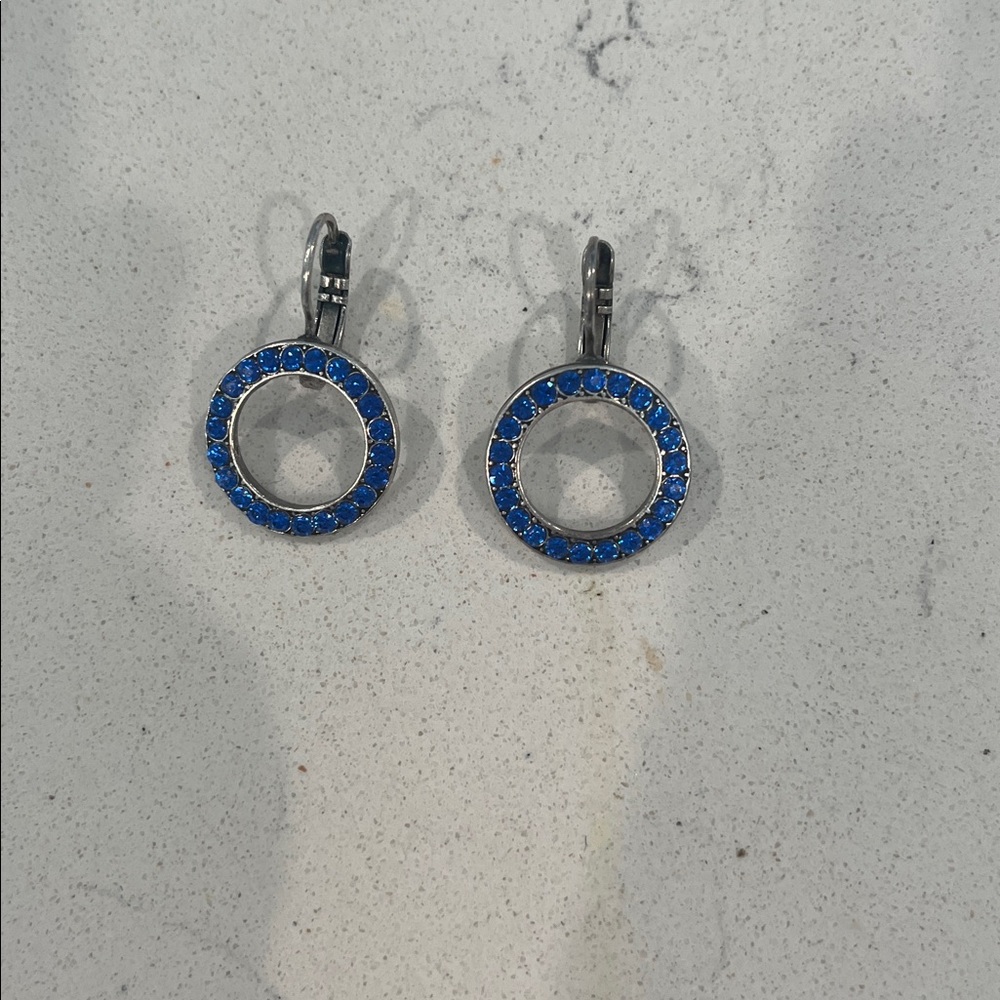 Elegant Blue Circle Earrings